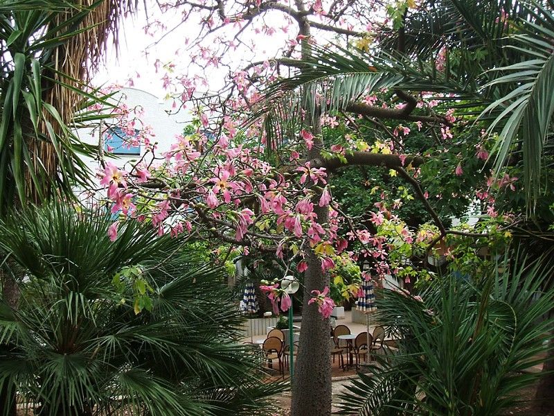 Hotel Azzolini Villagrazia Di Carini Buitenkant foto